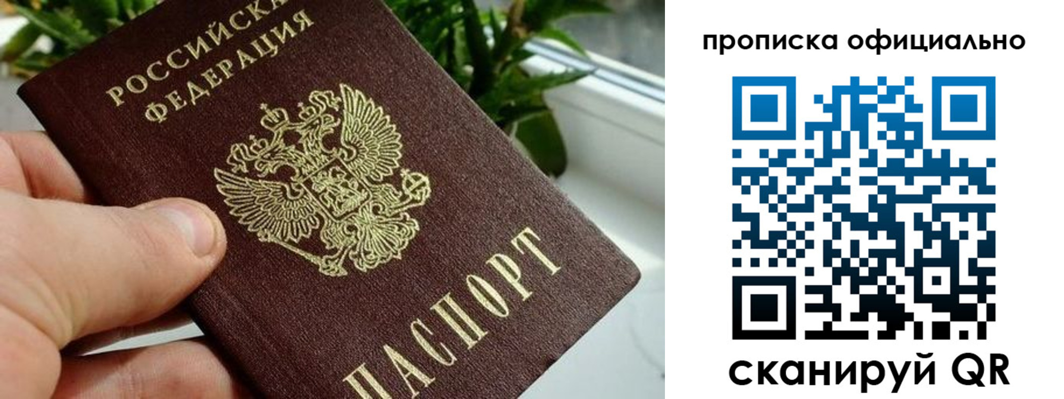 прописка поиск в Богучаре